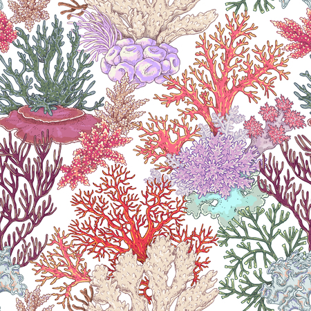 Hand drawn underwater natural elements. Coral reef seamless pattern. Vivid corals on white background. Undersea bottom texture.のイラスト素材