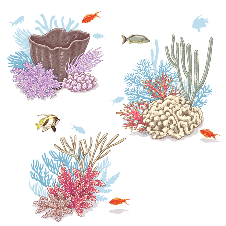 Hand drawn underwater natural elements. Sketch of vivid reef corals and swimming fishes isolated on white background.のイラスト素材