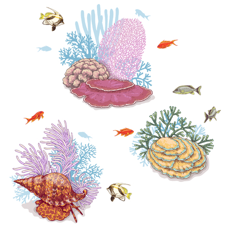 Hand drawn underwater natural elements. Sketch of vivid reef corals and swimming fishes isolated on white background.のイラスト素材