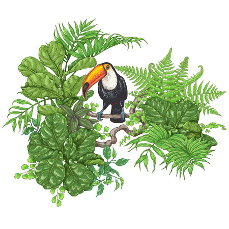 Hand drawn branches and leaves of tropical plants. Vivid  floral bunch  and  bird isolated on white.  Toucan sitting on liana branch. Vector sketch.のイラスト素材