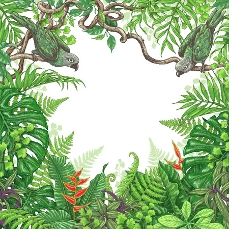 Hand drawn branches and leaves of tropical plants.のイラスト素材