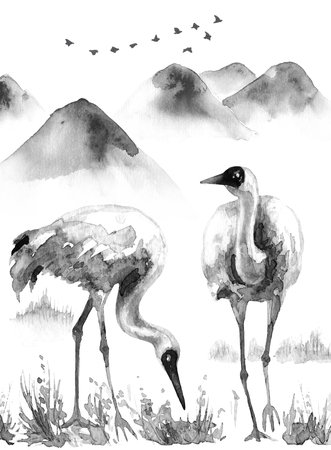 Watercolor painting.  Hand drawn illustration. Couple Siberian Cranes on mountain background.  Serenity scene with wading bird. Monochrome hills and mountains with snow tops in mist.の写真素材