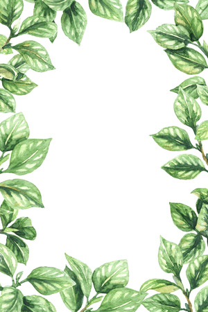 Watercolor painting.  Hand drawn vertical frame made with tree branches  and  green leaves. Floral decorative border.の写真素材