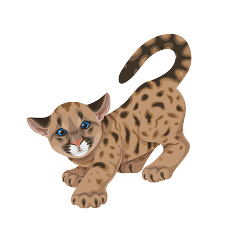 Little spotted puma  with blue eyes.Young American mountain lion  in  motion before jump  isolated on white. Cute cougar cub vector flat illustration.のイラスト素材