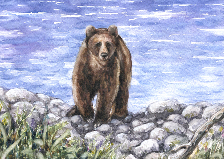 Watercolor Painting.  Hand drawn bear walking near the river. Stony waterside landscape.の写真素材