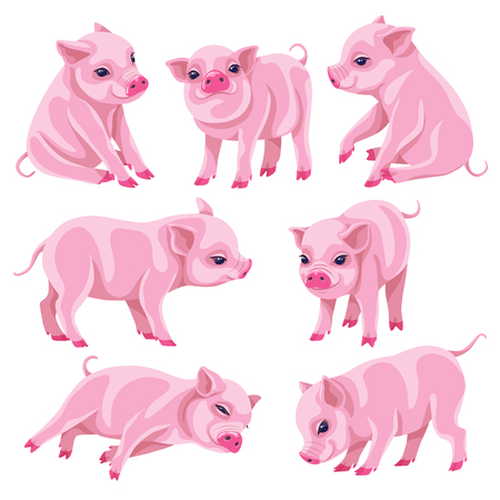 Set of cartoon cute miniature pigs isolated on white background.  Funny pink micro pig in moving.  Piglet front and side view. Vector flat illustration.のイラスト素材