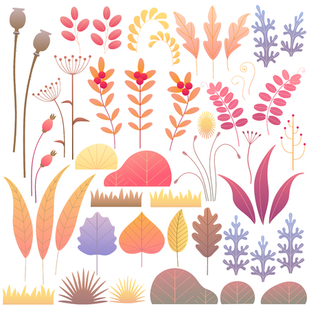 Colorful leaves, dried grass, berries and bushes set. Simple autumn floral elements design isolated on white. Vector flat illustration.のイラスト素材