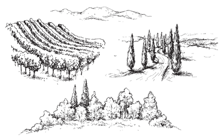 Hand drawn rural scene fragments with vineyard, hills, road and trees. Monochrome rustic landscape illustration. Vector sketch.