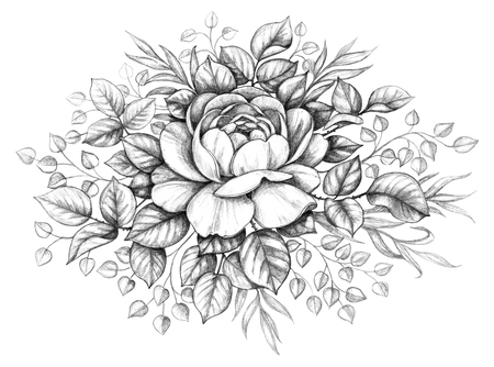 Hand drawn floral composition with Rose flower, leaves and curls isolated on white background. Monochrome illustration in vintage style. Pencil drawing romantic tattoo design, floral decoration.  の写真素材