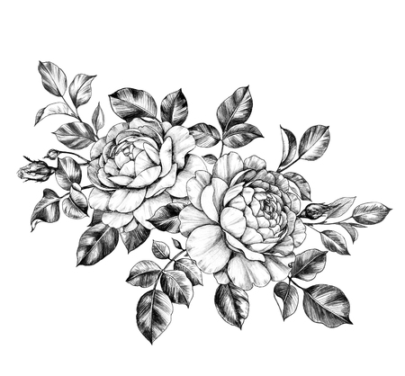 Hand drawn floral bunch with rose flowers and leaves isolated on white background. Pencil drawing monochrome elegant composition in vintage style.の写真素材