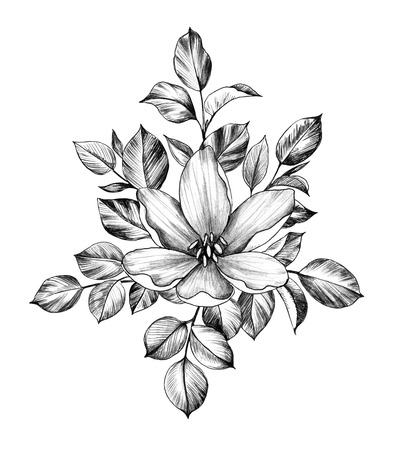 Hand drawn flower and leaves isolated on white background. Pencil drawing monochrome elegant floral composition in vintage style.の写真素材