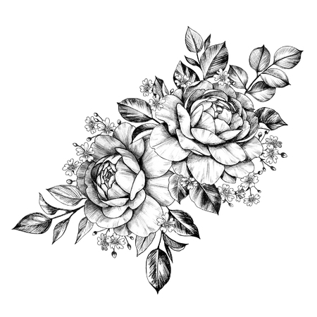 Hand drawn bunch with rose flowers and small gypsophila isolated on white background. Pencil drawing monochrome elegant floral composition in vintage style, t-shirt, tattoo design.の写真素材