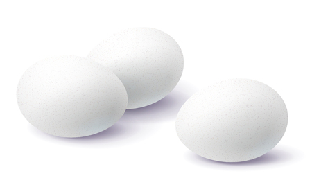 Three white 3d eggs with shadow on surface isolated on white background. Close-up realistic chicken blank  egg. のイラスト素材