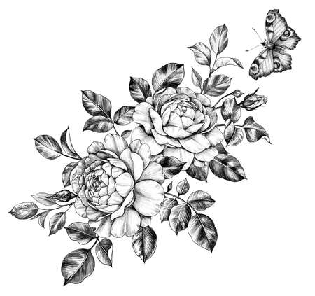 Hand drawn floral bunch with rose flowers and leaves and flying butterfly isolated on white background. Pencil drawing monochrome elegant composition in vintage style, t-shirt, tattoo design.の写真素材