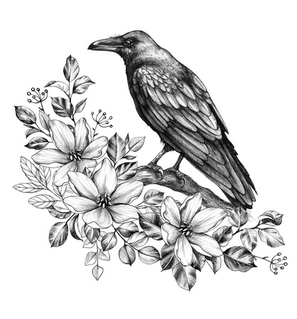 Hand drawn crow and wildflowers isolated on white background. Black bird sitting on tree branch. Raven with floral bunch side view pencil drawing in vintage style, t-shirt design, tattoo art.の写真素材