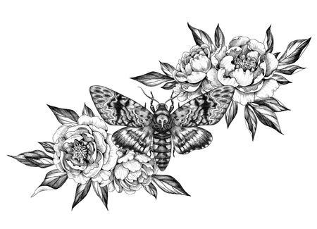 Hand drawn Acherontia Styx butterfly and Peony flowers on white. Pencil drawing monochrome elegant floral composition with Death's-Head Hawkmoth top view. Illustration in vintage style, tattoo art.の写真素材