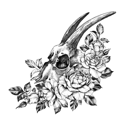 Hand drawn Goat Skull decorated Rose Flowers  isolated on white background. Pencil drawing cranium side view in vintage style, t-shirt design, tattoo art.の写真素材
