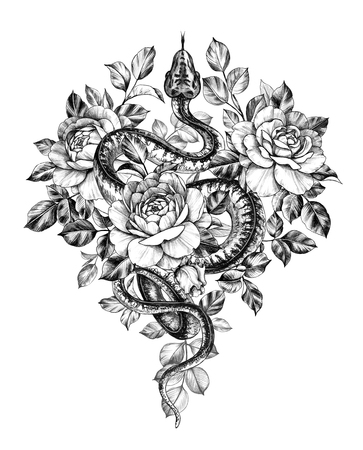 Hand drawn creeping Garden Tree Boa decorated roses isolated on white background. Pencil drawing monochrome Python snake with flowers. Floral illustration in vintage style, t-shirt design, tattoo art.の写真素材