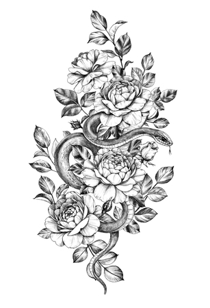 Hand drawn Snake decorated roses isolated on white background. Pencil drawing monochrome serpent among flowers. Floral vertical illustration in vintage style, t-shirt design, tattoo art.の写真素材