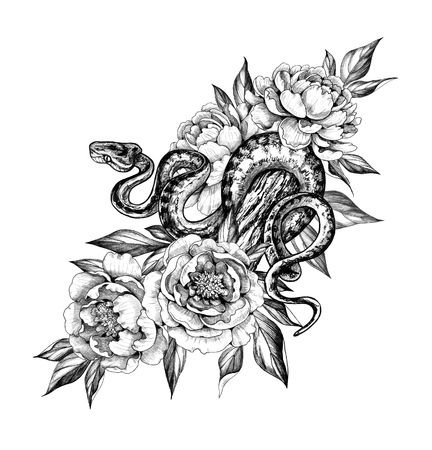 Hand drawn creeping Garden Tree Boa on trunk and peonies isolated on white background. Pencil drawing monochrome Python snake with flowers. Floral illustration in vintage style, t-shirt design, tattoo art.の写真素材