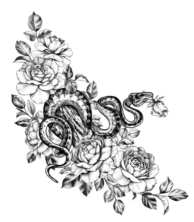 Hand drawn creeping Garden Tree Boa on trunk and roses isolated on white background. Pencil drawing monochrome Python snake with flowers. Floral illustration in vintage style, t-shirt design, tattoo art.の写真素材