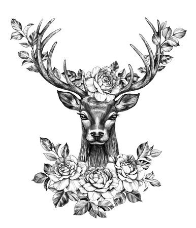 Hand drawn Red Deer decorated roses isolated on white background. Pencil drawing monochrome elegant floral composition with deer head and flowers in horns, t-shirt, tattoo design.