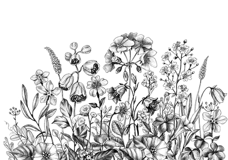 Hand drawn wildflowers isolated on white background. Pencil drawing  elegance flowers border in vintage style.の写真素材