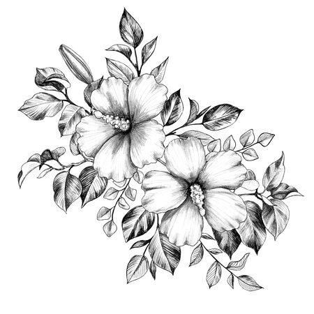 Hand drawn hibiscus flowers bunch isolated on white background. Pencil drawing monochrome elegant floral composition in vintage style, t-shirt, tattoo design.の写真素材