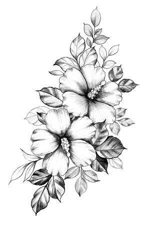 Hand drawn Hibiscus flowers with leaves isolated on white background. Pencil drawing monochrome elegant floral composition in vintage style, t-shirt, tattoo design.の写真素材