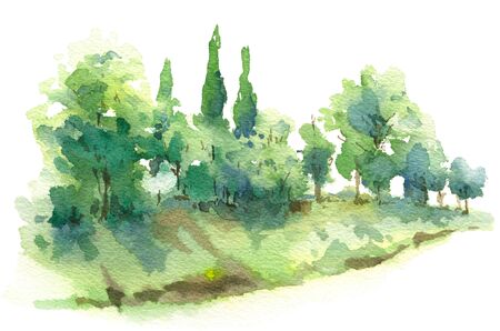 Hand drawn nature scene with cypress trees and bushes on hill watercolor sketch. Fragment of summer landscape.の写真素材