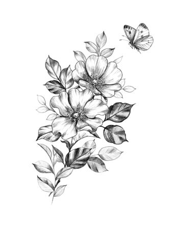Hand drawn floral bunch with dog rose flowers and leaves and flying butterfly isolated on white background. Pencil drawing monochrome elegant composition in vintage style, t-shirt, tattoo design.の写真素材