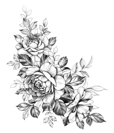 Hand drawn rose flowers bunch isolated on white background. Pencil drawing monochrome elegant floral composition in vintage style, t-shirt, tattoo design. の写真素材