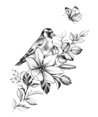 Hand drawn goldfinch sitting on branch with flower isolated on white background. Pencil drawing monochrome elegant floral composition with bird and butterfly in vintage style, t-shirt, tattoo design. の写真素材