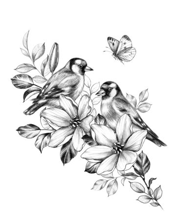 Hand drawn couple goldfinches sitting on branch with flowers. Pencil drawing monochrome elegant floral composition with birds and butterfly in vintage style, t-shirt, tattoo design. の写真素材