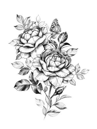 Hand drawn rose flowers bunch with sitting butterfly isolated on white background. Pencil drawing monochrome elegant floral composition in vintage style, t-shirt, tattoo design.の写真素材