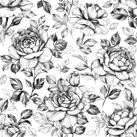 Seamless pattern with hand drawn rose flowers and leaves. Pencil drawing monochrome elegant floral composition in vintage style.の写真素材