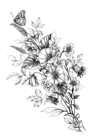 Hand drawn butterfly sitting on wildflowers bouquet isolated on white background. Pencil drawing monochrome floral composition with field flowers in vintage style. の写真素材
