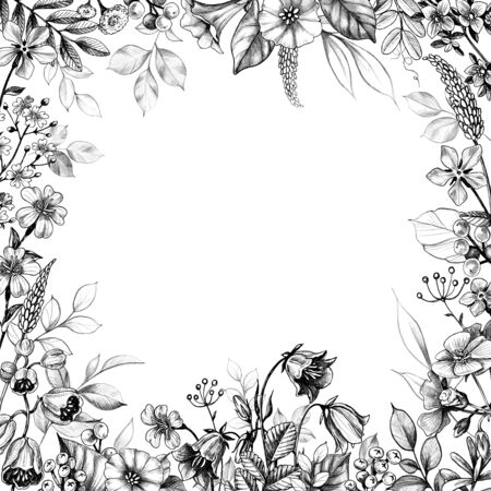 Hand drawn floral border with wild plants on white background. Pencil drawing monochrome square frame  with field flowers in vintage style. の写真素材