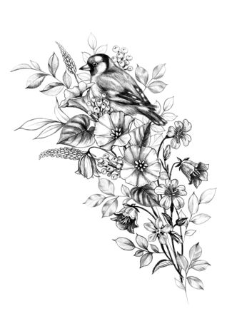 Hand drawn goldfinch sitting on wildflowers bouquet isolated on white background. Pencil drawing monochrome floral composition with bird and field  flowers in vintage style, t-shirt, tattoo design.の写真素材