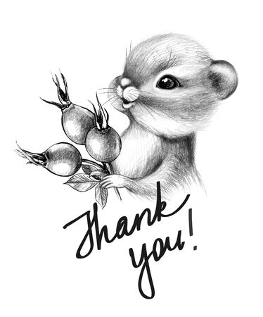 Hand drawn cute Chipmunk isolated on white background. Pencil drawing little furry rodent with big cheeks. Monochrome greeting card with cartoon animal holding berries, thank you inscription.の写真素材