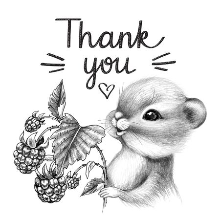 Hand drawn cute Chipmunk isolated on white background. Pencil drawing little furry rodent with big cheeks. Monochrome greeting card with cartoon animal holds raspberries, thank you inscription.の写真素材