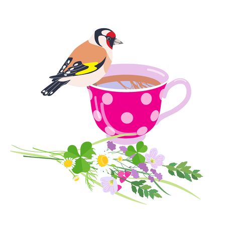 Pink tea cup, goldfinch and wildflowers isolated on white background. Colorful floral composition with simple polka dot teacup, bird and wild meadow plants vector flat illustration.のイラスト素材