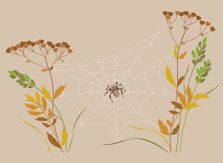 Big brown spider sitting on web between two plant stems. Simple spiderweb on dried plants. Natural composition with cobweb and autumn wildflowers. Vector flat illustration.のイラスト素材