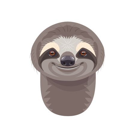 Funny Sloth face or head isolated on white background. Cartoon cute smiling wild animal vector flat...