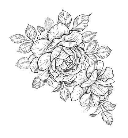 Hand drawn bunch with rose flowers and leaves isolated on white background. Vector line art monochrome elegant floral composition in vintage style, t-shirt, tattoo design, coloring page.のイラスト素材