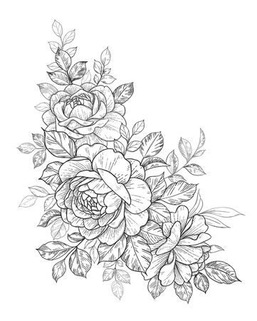 Hand drawn rose flowers bunch isolated on white background. Vector line art monochrome elegant floral composition in vintage style, t-shirt, tattoo design, coloring page, wedding decoration のイラスト素材