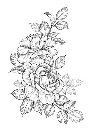 Hand drawn rose flower and leaves bunch isolated on white. Vector line art monochrome elegant floral corner composition in vintage style, t-shirt, tattoo design, coloring page, wedding decoration. のイラスト素材