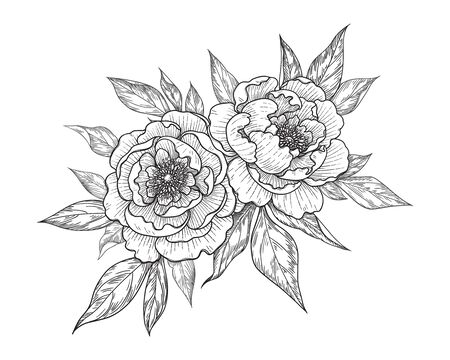 Hand drawn peony flower and leaves bunch isolated on white. Vector line art monochrome elegant floral composition in vintage style, t-shirt, tattoo design, coloring page, wedding decoration.のイラスト素材