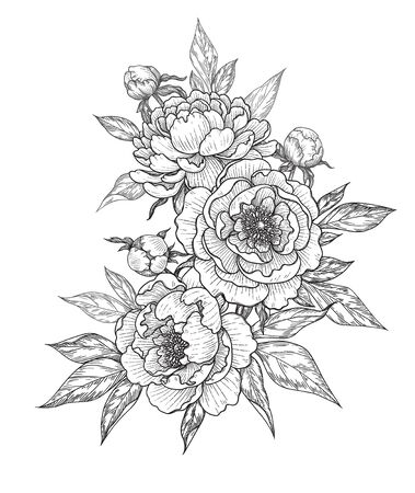 Hand drawn peony flowers, buds and leaves bunch isolated on white. Vector line art monochrome elegant floral composition in vintage style, t-shirt, tattoo design, coloring page, wedding decoration.のイラスト素材