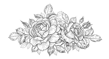 Hand drawn rose flower, buds and leaves bunch isolated on white. Vector monochrome elegant horizontal floral composition in vintage style, t-shirt, tattoo design, coloring page, wedding decoration.のイラスト素材